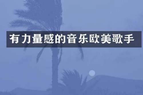 有力量感的音乐欧美歌手