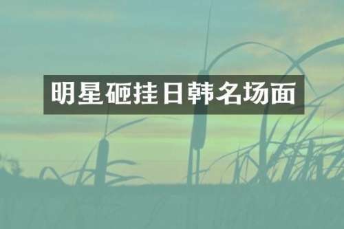 明星砸挂日韩名场面