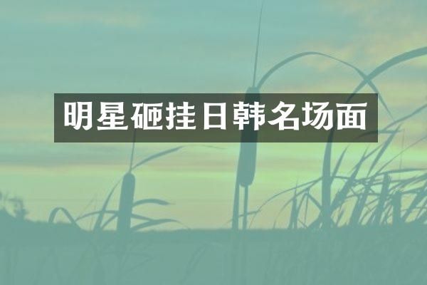 明星砸挂日韩名场面