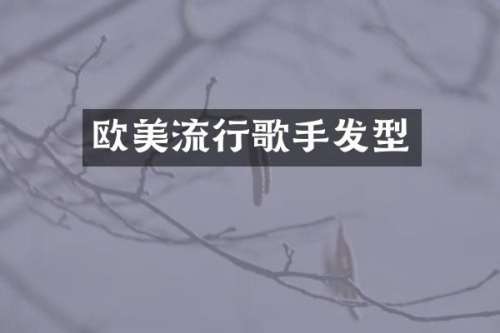 欧美流行歌手发型