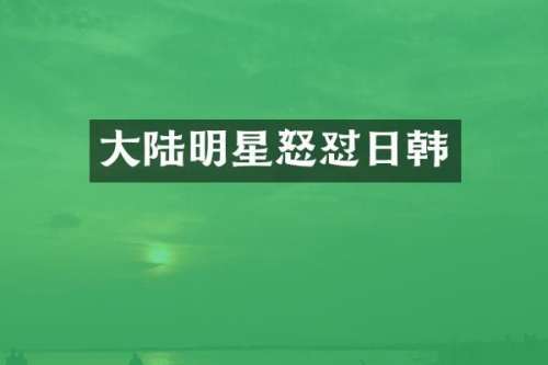 大陆明星怒怼日韩