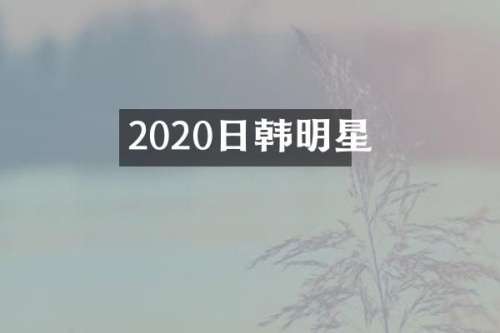 2020日韩明星