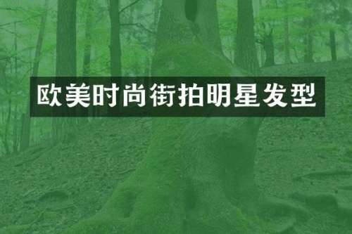 欧美时尚街拍明星发型