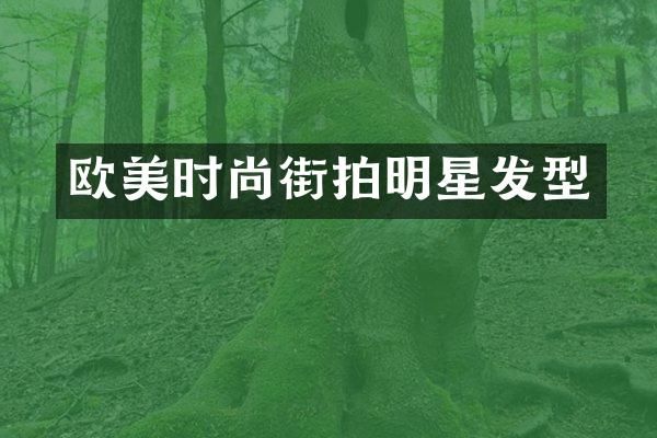 欧美时尚街拍明星发型