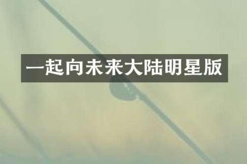 一起向未来大陆明星版