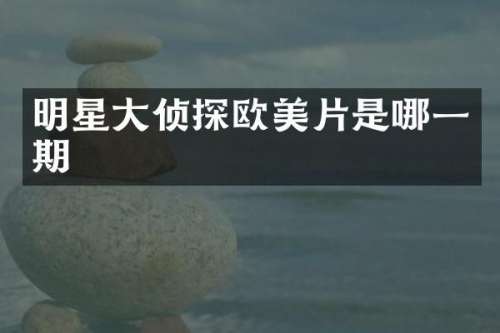 明星大侦探欧美片是哪一期