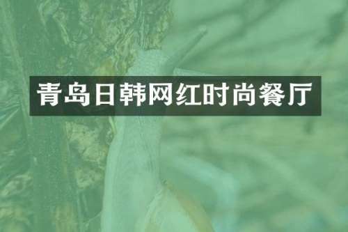 青岛日韩网红时尚餐厅