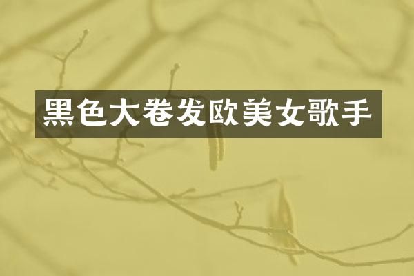黑色大卷发欧歌手