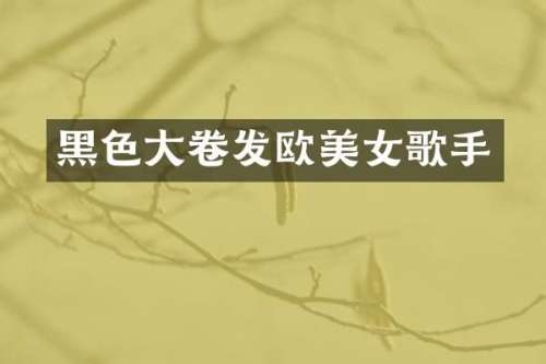 黑色大卷发欧歌手