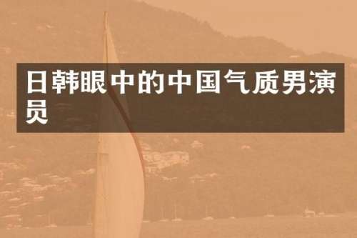日韩眼中的中国气质男演员
