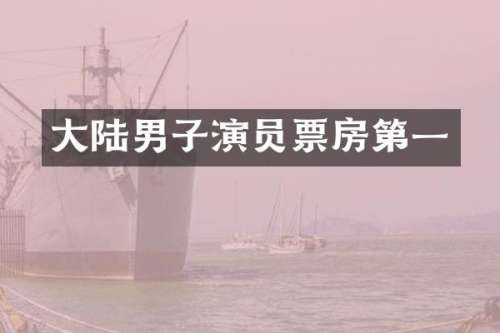 大陆男子演员票房第一