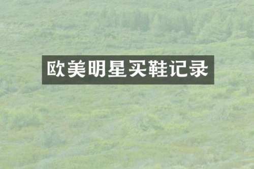 欧美明星买鞋记录