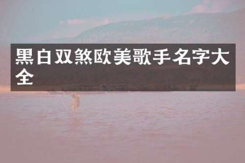 黑白双煞欧美歌手名字大全