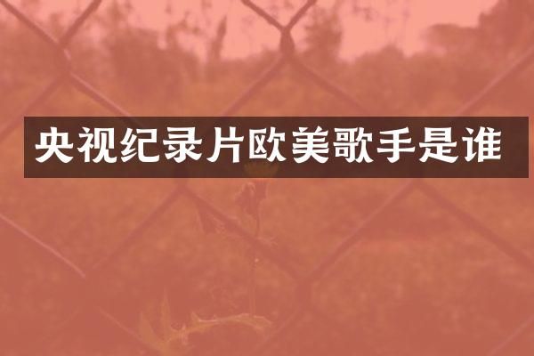 央视纪录片欧美歌手是谁