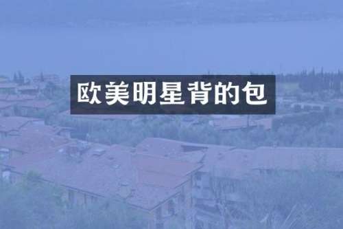 欧美明星背的包