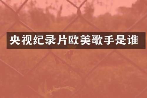 央视纪录片欧美歌手是谁