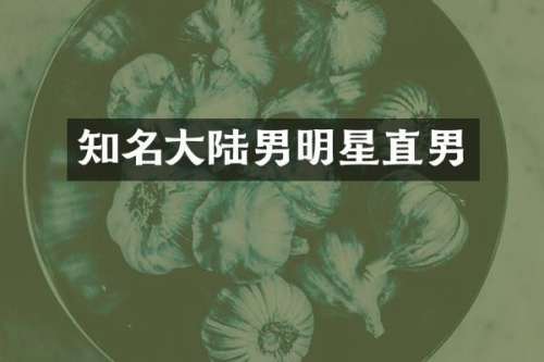 知名大陆男明星直男