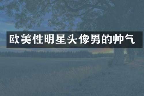 欧美性明星头像男的帅气