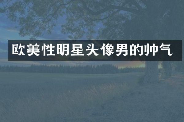 欧美性明星头像男的帅气