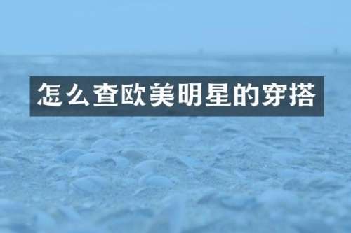 怎么查欧美明星的穿搭