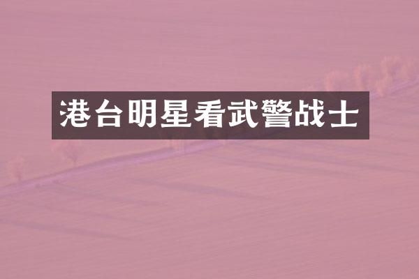 港台明星看武警战士