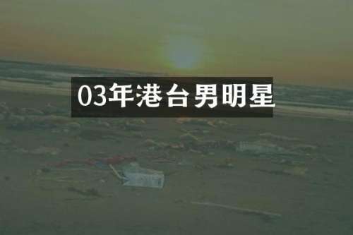 03年港台男明星