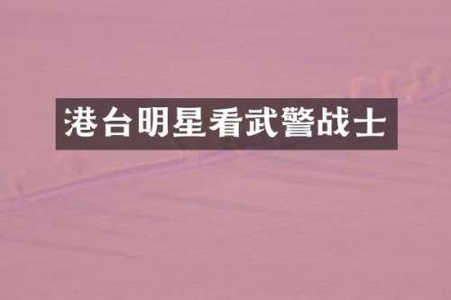 港台明星看武警战士