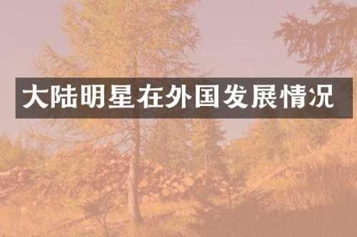大陆明星在外国发展情况