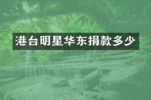 港台明星华东捐款多少