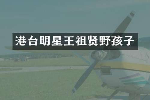 港台明星王祖贤野孩子