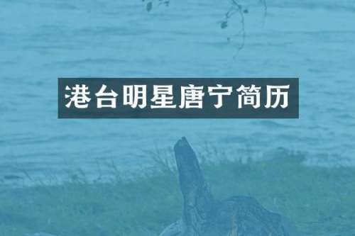 港台明星唐宁简历