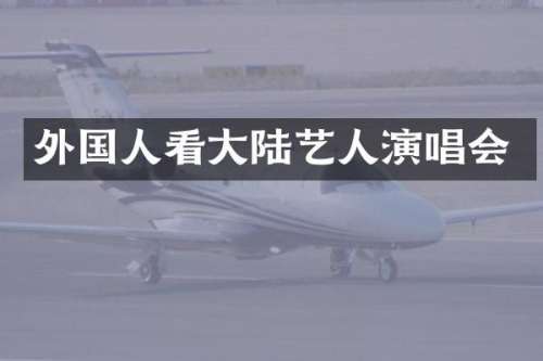 外国人看大陆艺人演唱会