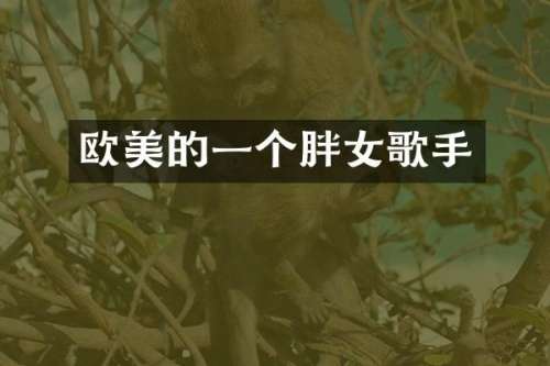 欧美的一个胖女歌手
