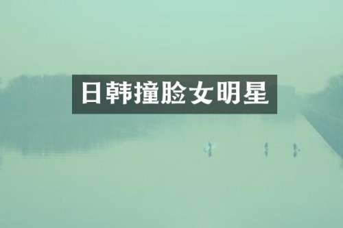 日韩撞脸女明星