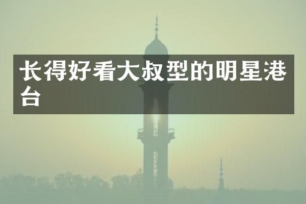 长得好看大叔型的明星港台