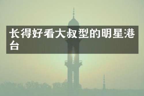 长得好看大叔型的明星港台