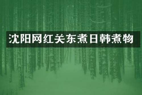 沈阳网红关东煮日韩煮物