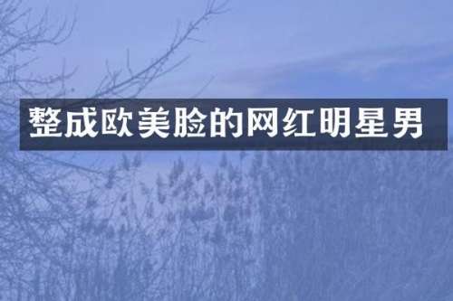 整成欧美脸的网红明星男