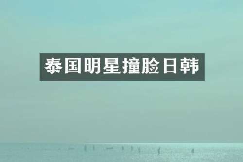 泰国明星撞脸日韩