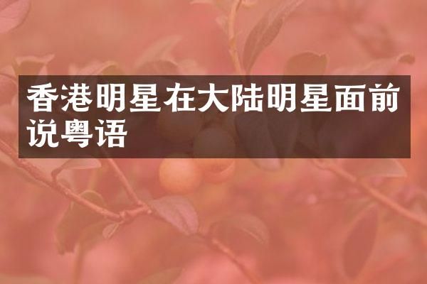 香港明星在大陆明星面前说粤语