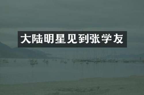 大陆明星见到张学友
