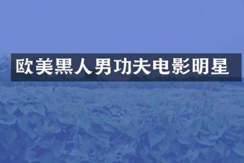 欧美黑人男功夫电影明星