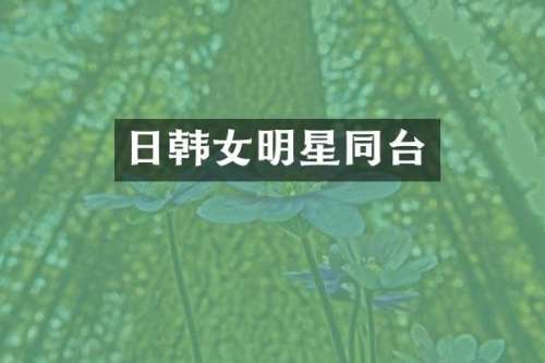 日韩女明星同台