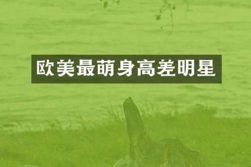 欧美最萌身高差明星