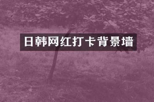 日韩网红打卡背景墙