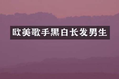 欧美歌手黑白长发男生