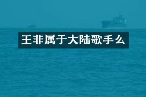 王非属于大陆歌手么