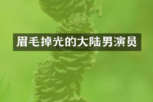 眉毛掉光的大陆男演员