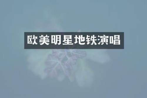 欧美明星地铁演唱