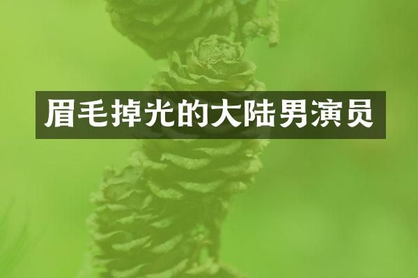眉毛掉光的大陆男演员